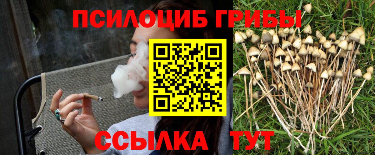 где продают   Вход с VPN  Кисловодск  Псилоцибиновые грибы MAGIC MUSHROOMS 